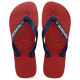 Havaianas Brasil Logo